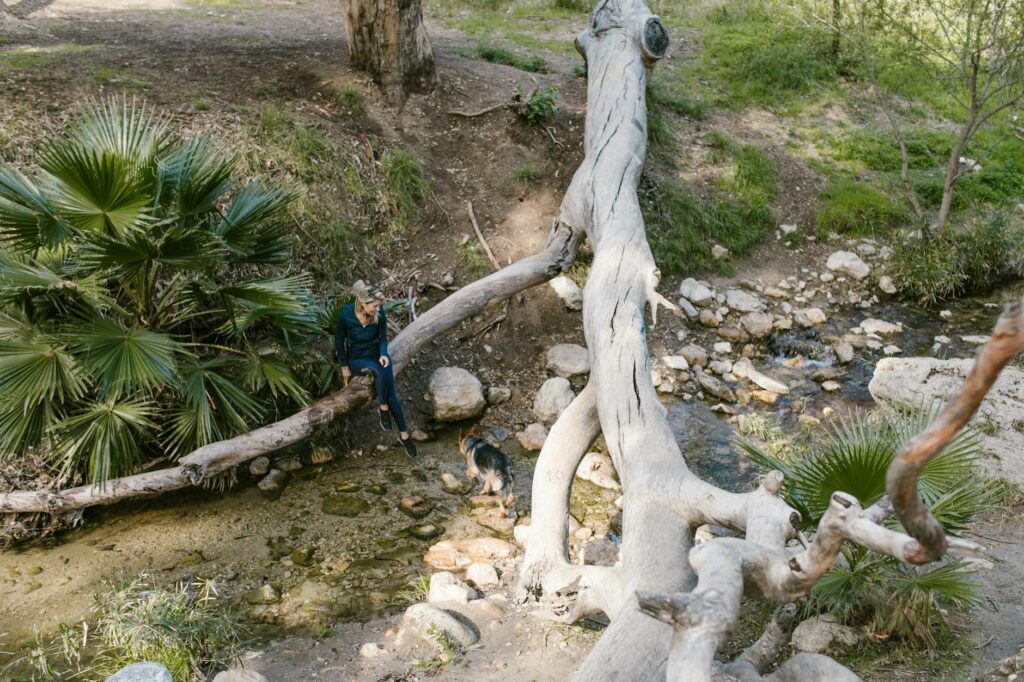 A woman and her dog enjoying a serene moment by a fallen tree over a forest stream.